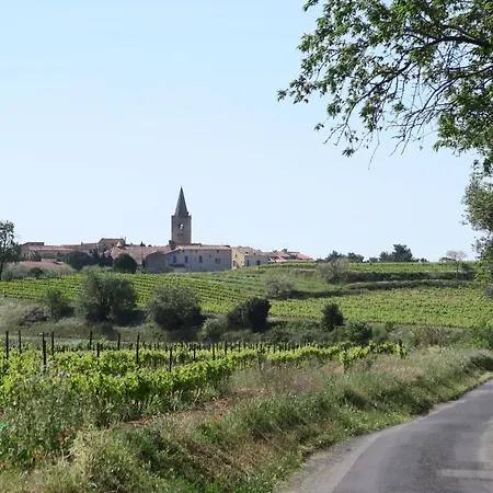 Maison Du Midi Nézignan-lʼÉvêque